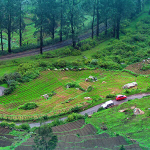 bangalore